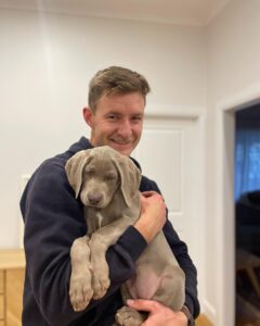 Weimaraner puppies for sale