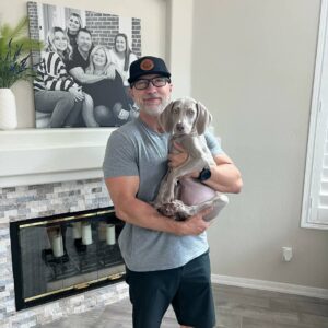 Weimaraner puppies for sale