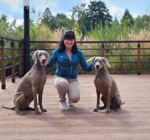 weimaraner